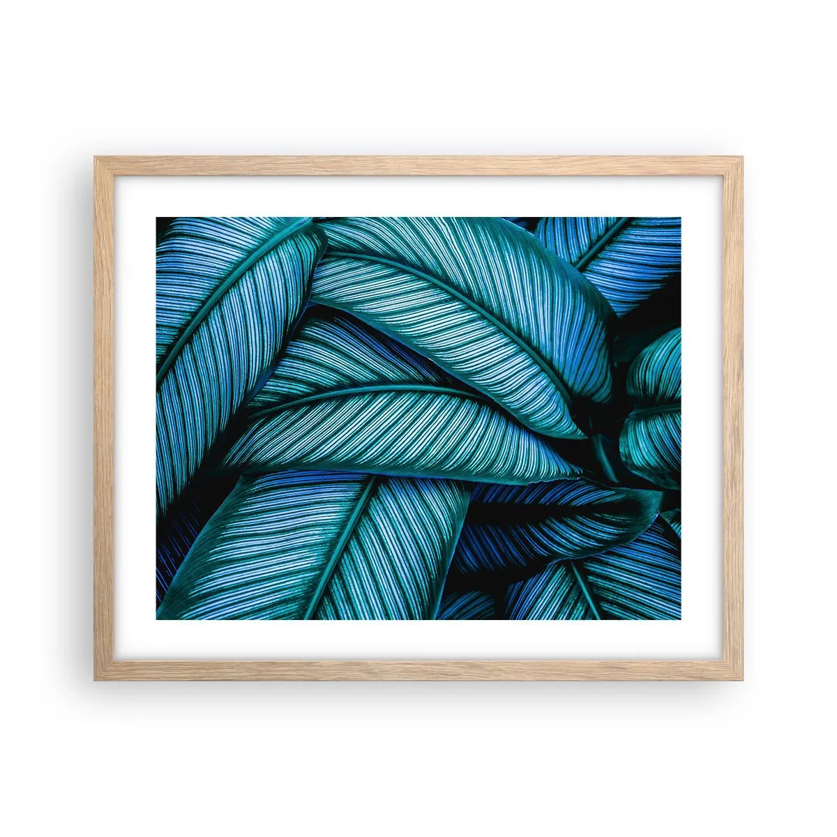 Een poster in een licht eiken lijst - Levens lijnen - 50x40 cm