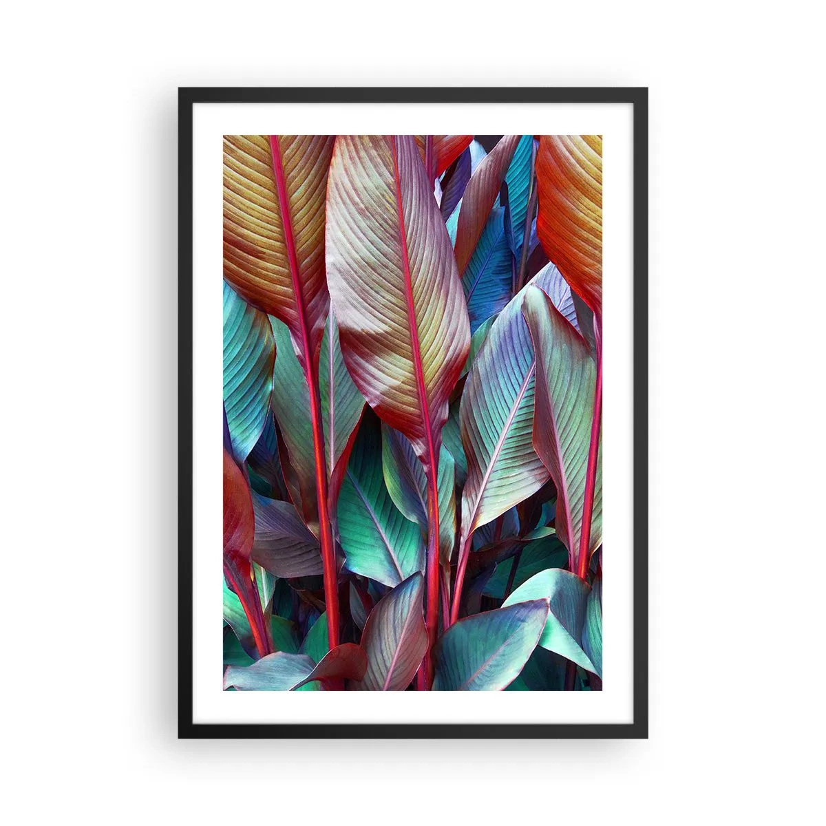 Poster in een zwarte lijst - Kleurrijke bladeren van een tropische plant in verzadigde kleuren - 50x70cm - Een kleurrijk struikgewas - Moderne wanddecoratie voor woonkamer en slaapkamer ARTTOR