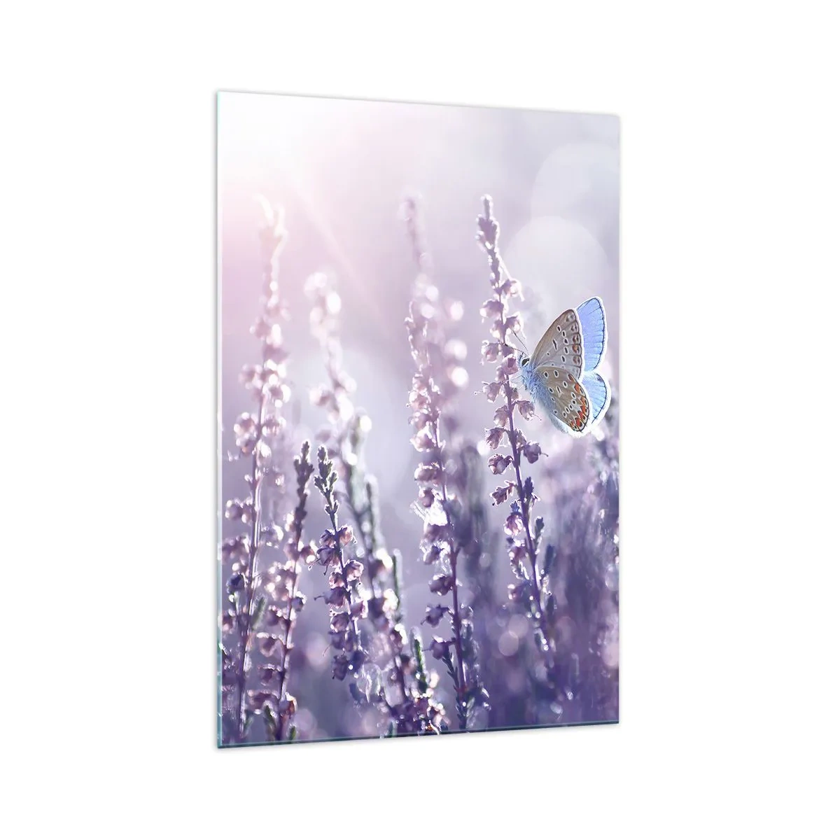 Schilderen op glas - Vlinder kus - 70x100 cm