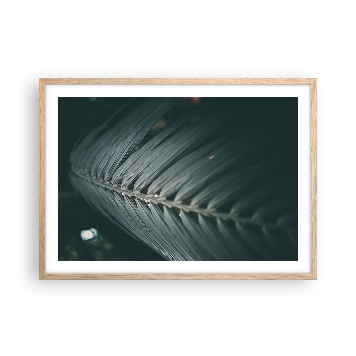 Een poster in een licht eiken lijst - De precisie van de natuur - 70x50 cm