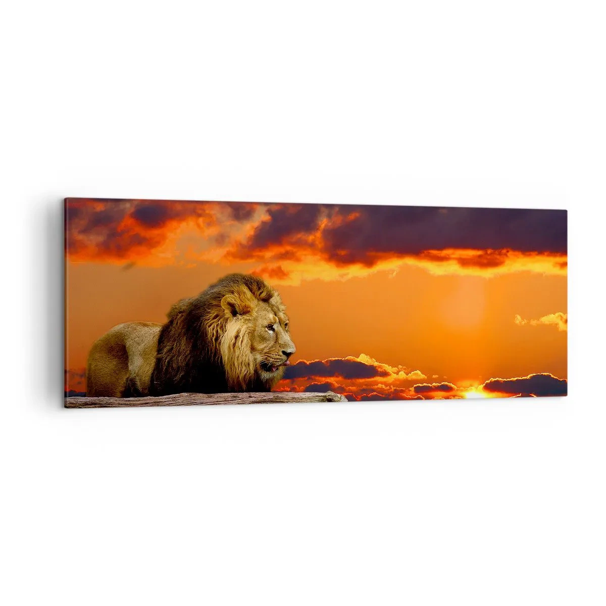 Schilderen op canvas - Koning van de natuur - 140x50 cm