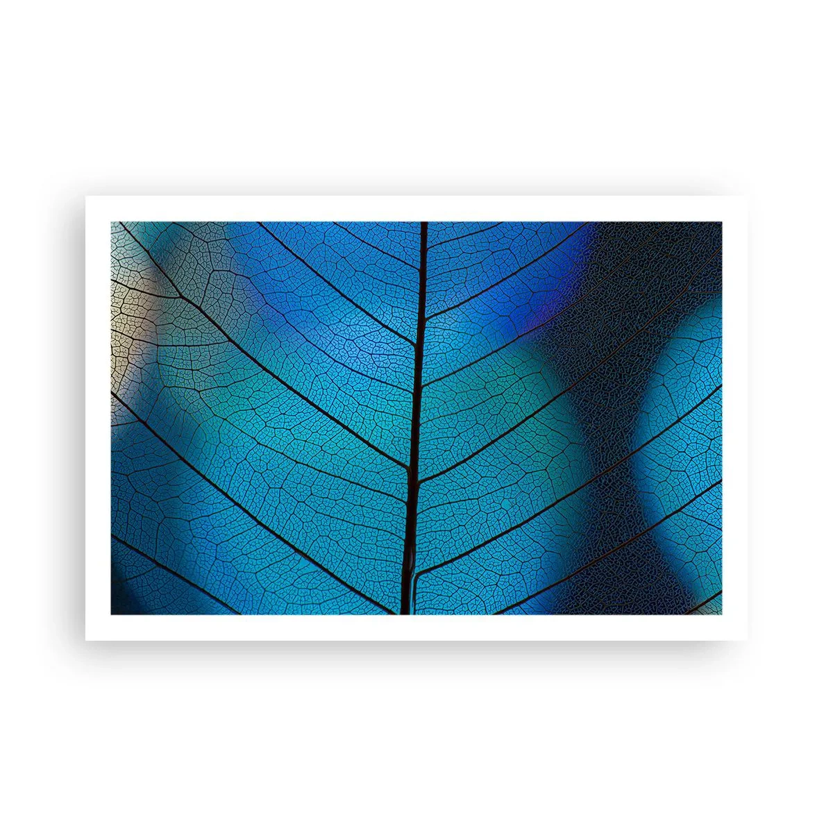 Poster - Ingewikkelde constructie - 91x61 cm
