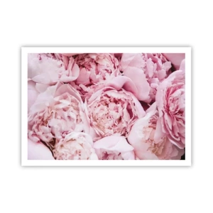 Poster - Knuffelend en geurig - 100x70 cm