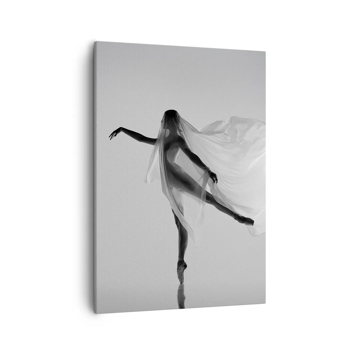 Schilderen op canvas - Lichtheid en gratie - 50x70 cm