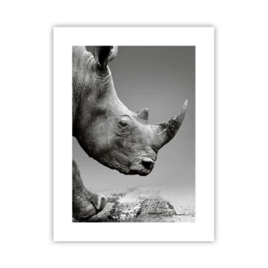 Poster - Onstuitbare kracht - 30x40 cm