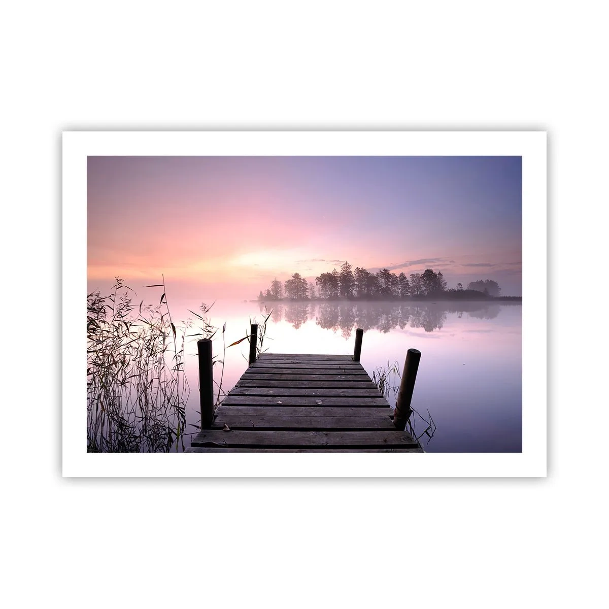 Poster - Van de lila mist... - 70x50 cm