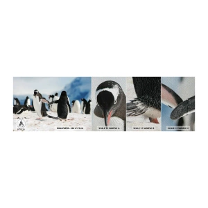 Fotobehang Monster Premium Sand - Dansen in de sneeuw - pinguïn, Antarctica, Landschap - 100x30 cm