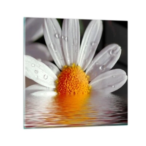 Schilderen op glas - De rijzende zon van madeliefjes - 30x30 cm