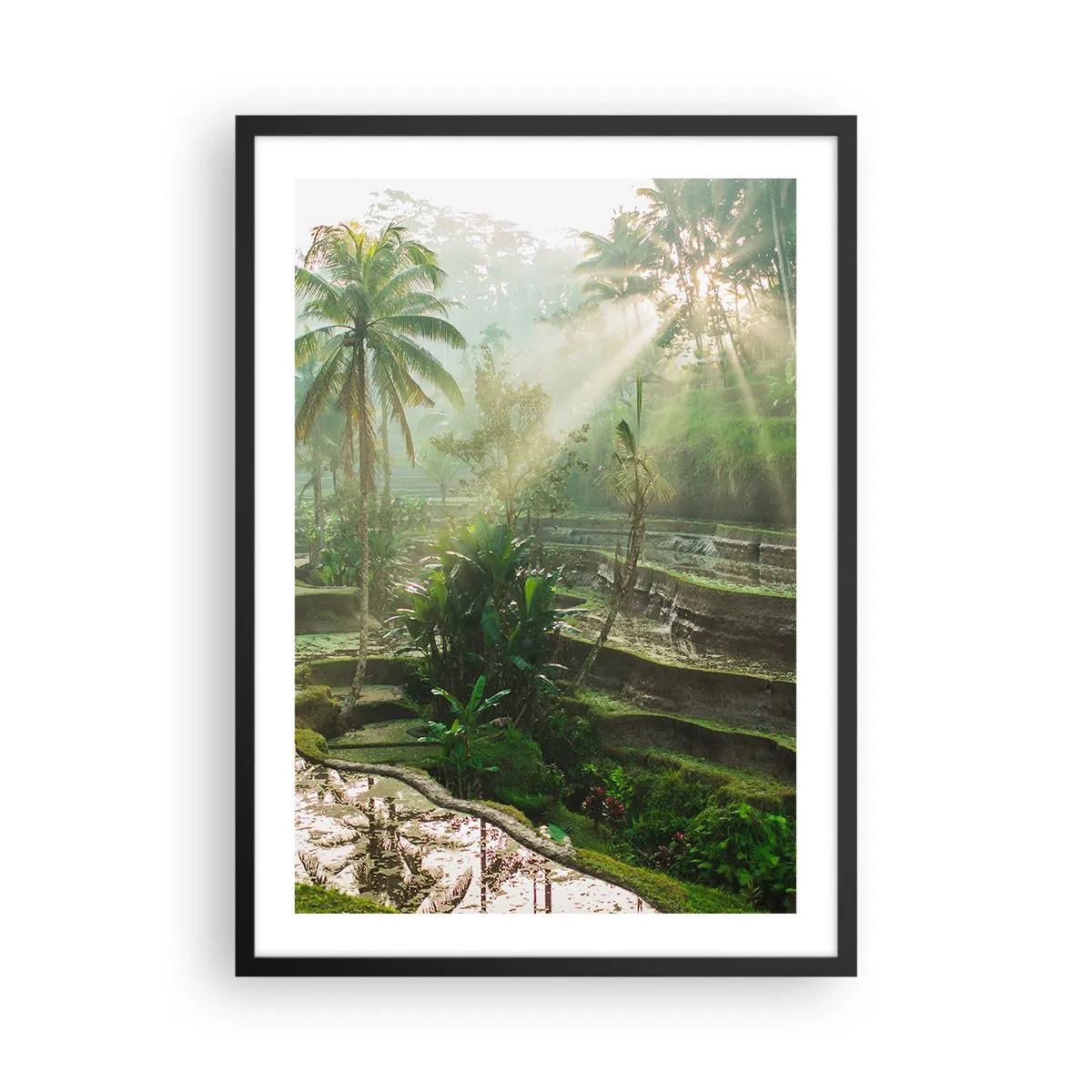 Poster in een zwarte lijst - Tropisch landschap met rijstterrassen en zonneschijn - 50x70cm - Opgroeien in de zon - Moderne wanddecoratie voor woonkamer en slaapkamer ARTTOR