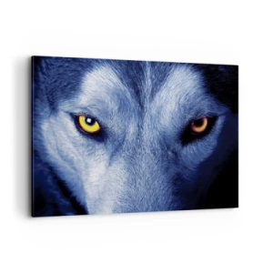 Schilderen op canvas - Betoverende look - 120x80 cm