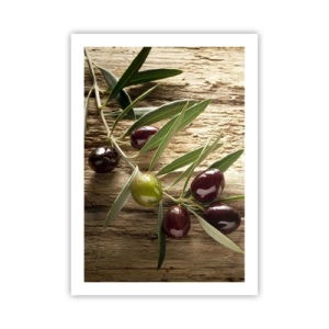 Poster - Rechtstreeks uit de natuur - 50x70 cm