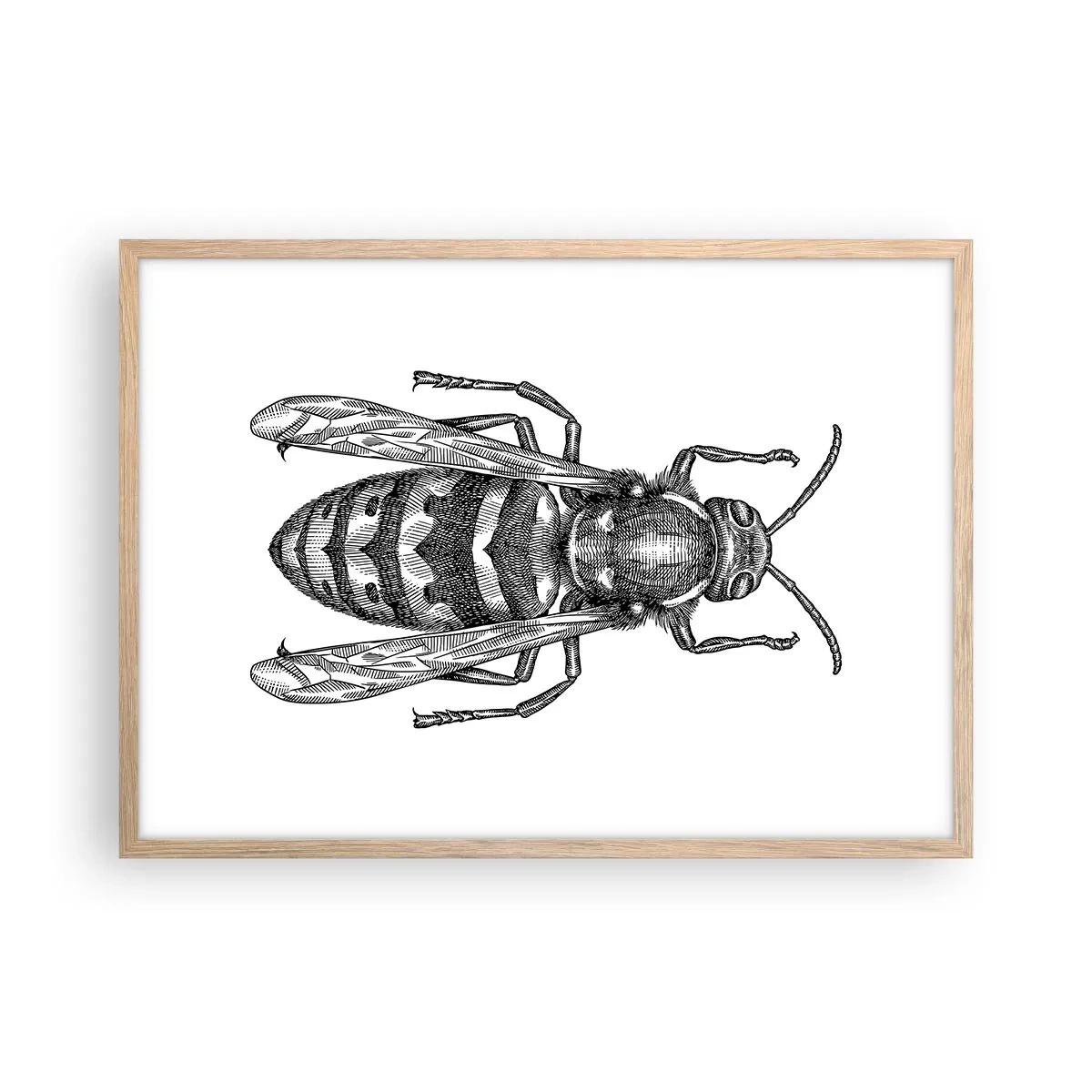 Een poster in een licht eiken lijst - Van een insectenplaneet - 70x50 cm