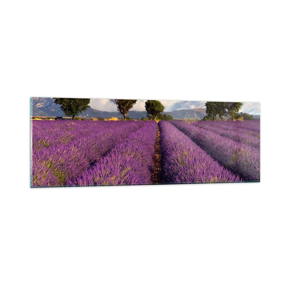 Schilderen op glas - Lavendel velden - 90x30 cm