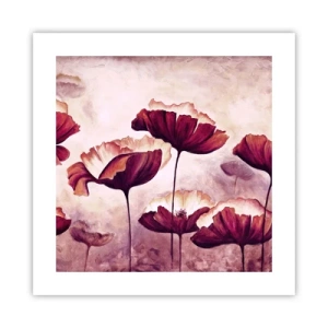Poster - Rood en wit bloemblad - 40x40 cm