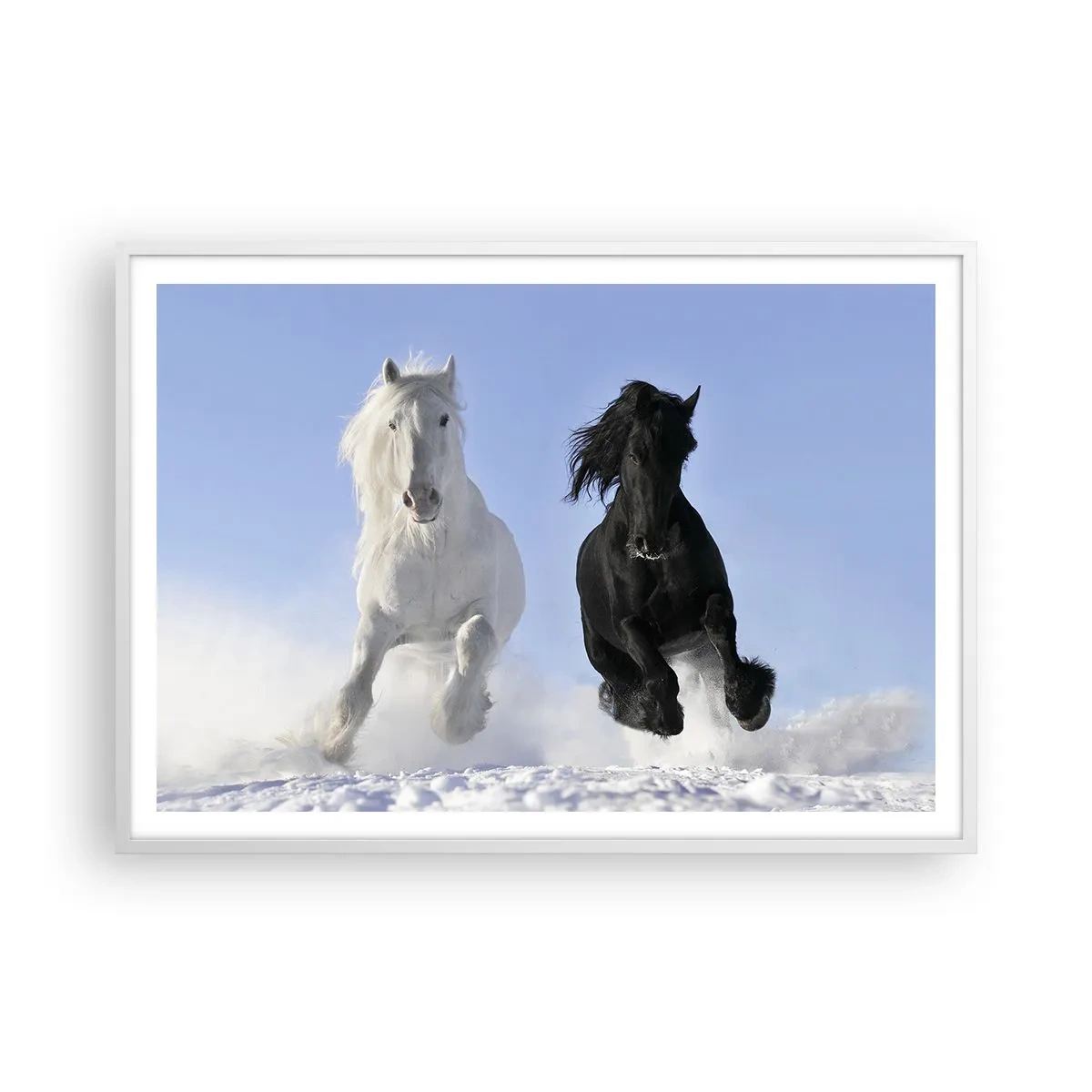 Poster in een witte lijst - Zwart-wit galop - 100x70 cm