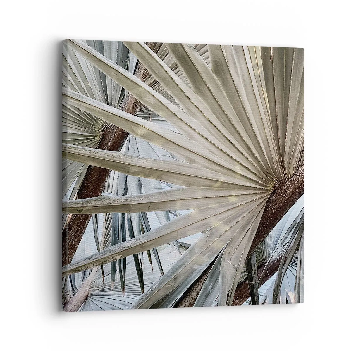 Schilderen op canvas - Fans in de tropen - 30x30 cm