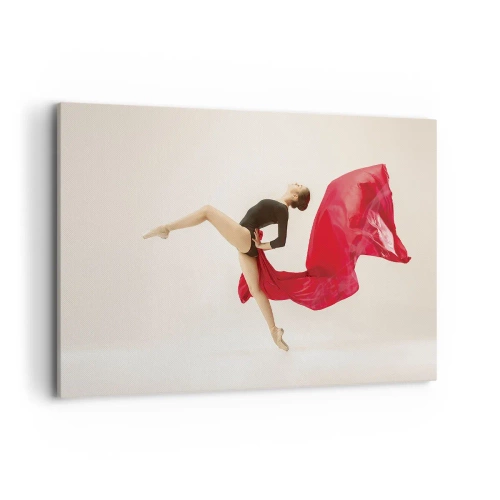Schilderen op canvas - rood en zwart - 100x70 cm
