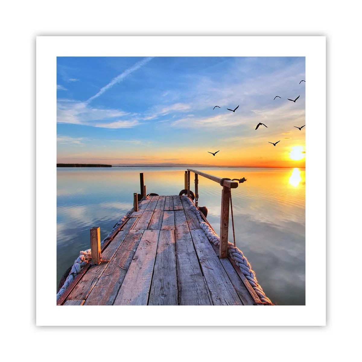 Poster - Loop recht naar de zon - 50x50 cm