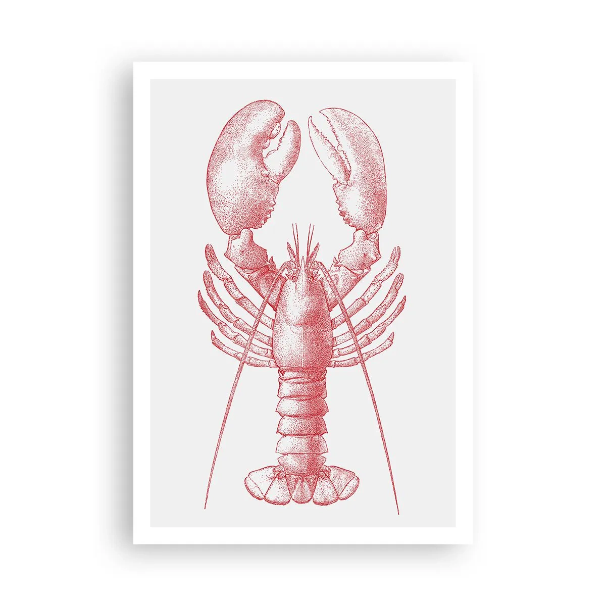 Poster - Een kreeft waardig Homer - 70x100 cm
