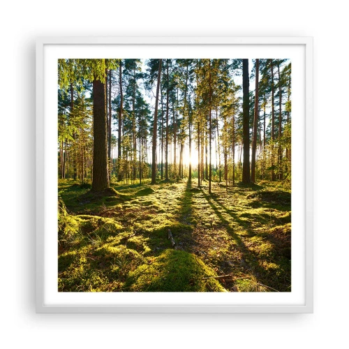 Poster in een witte lijst - … Achter de zeven bossen - 60x60 cm