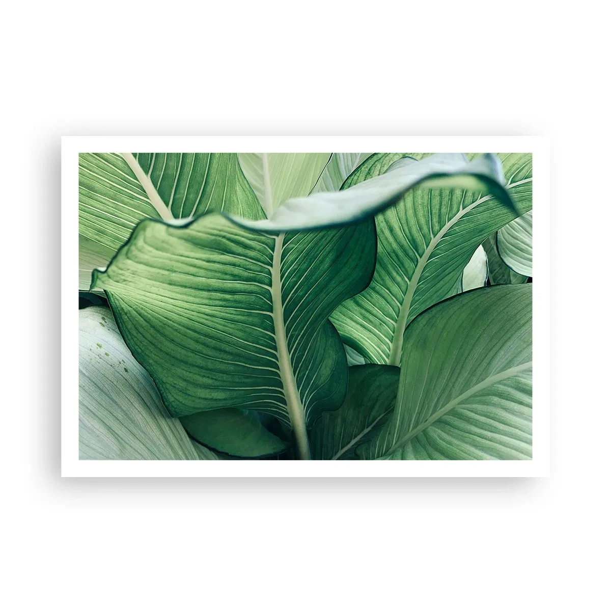Poster - Intens groen leven - 100x70 cm