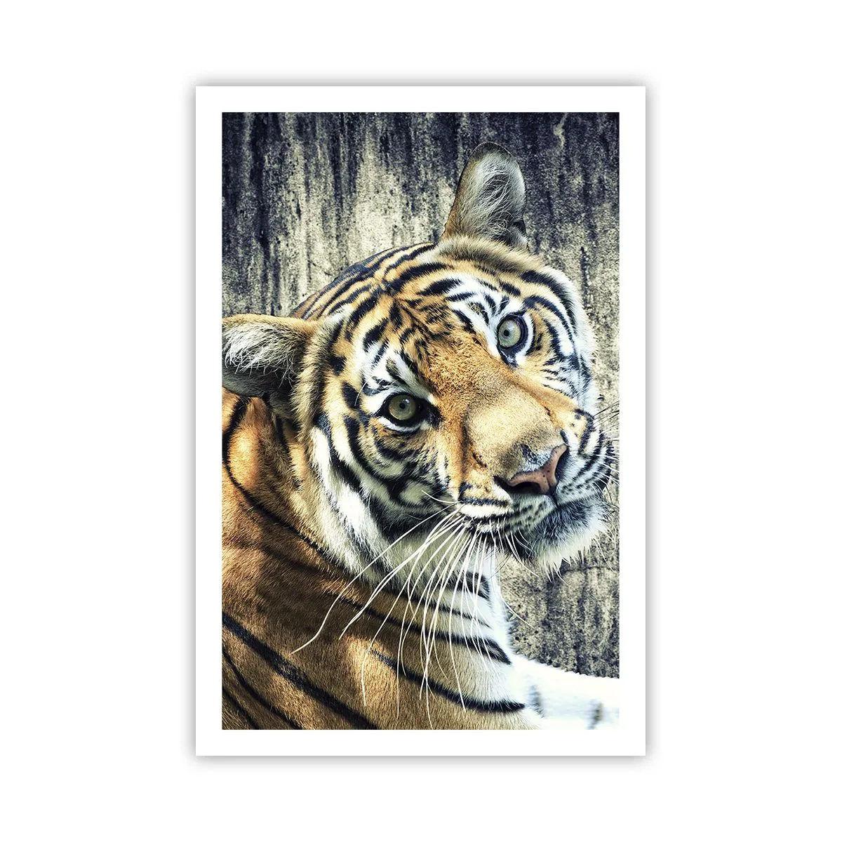 Poster - Portret in stromen van licht - 61x91 cm