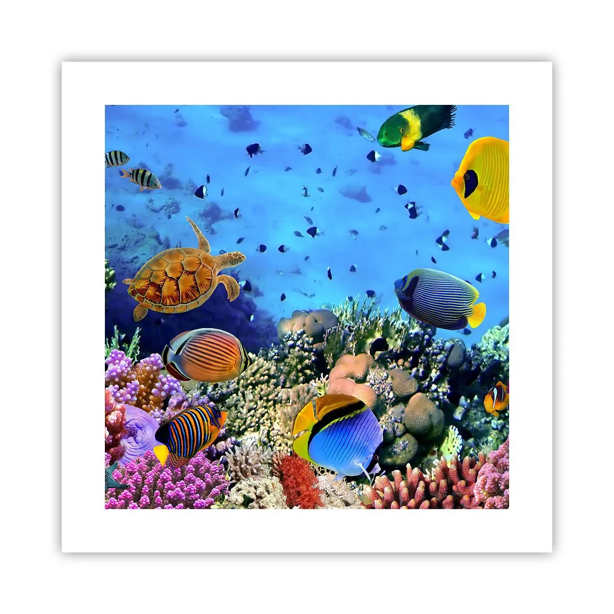 Poster - En wat weten we over het leven... - 40x40 cm