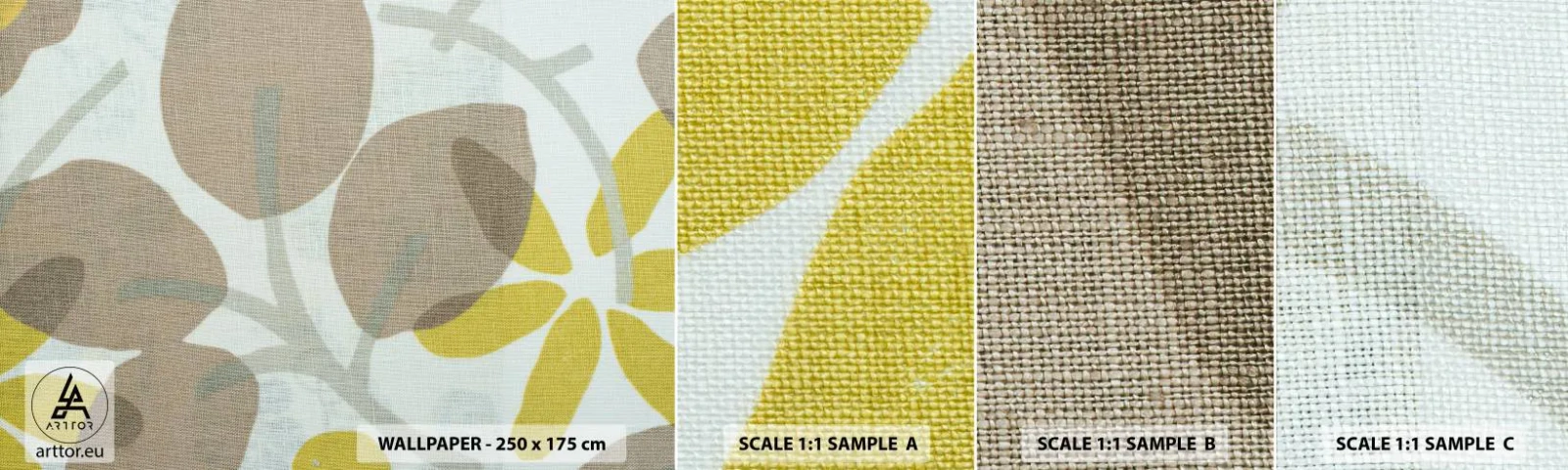 Fotobehang Staaltje Standard Eco - Compositie in volle zon - Boho, Bloemen, Minimalisme - 100x30 cm