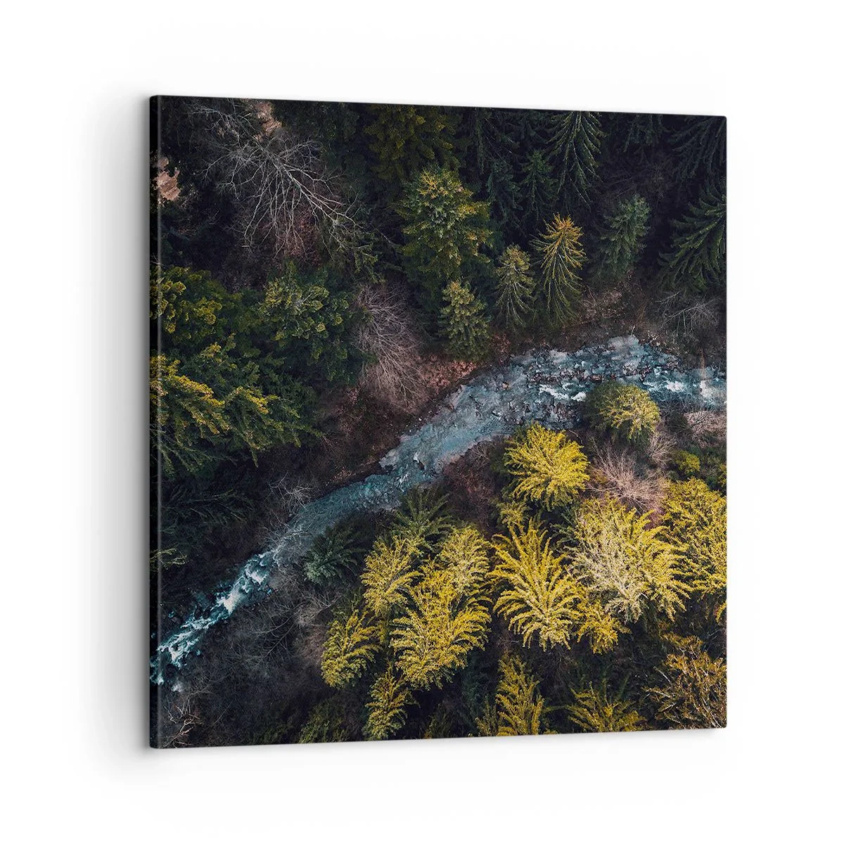 Schilderen op canvas - Snel, sneller en sneller - 60x60 cm