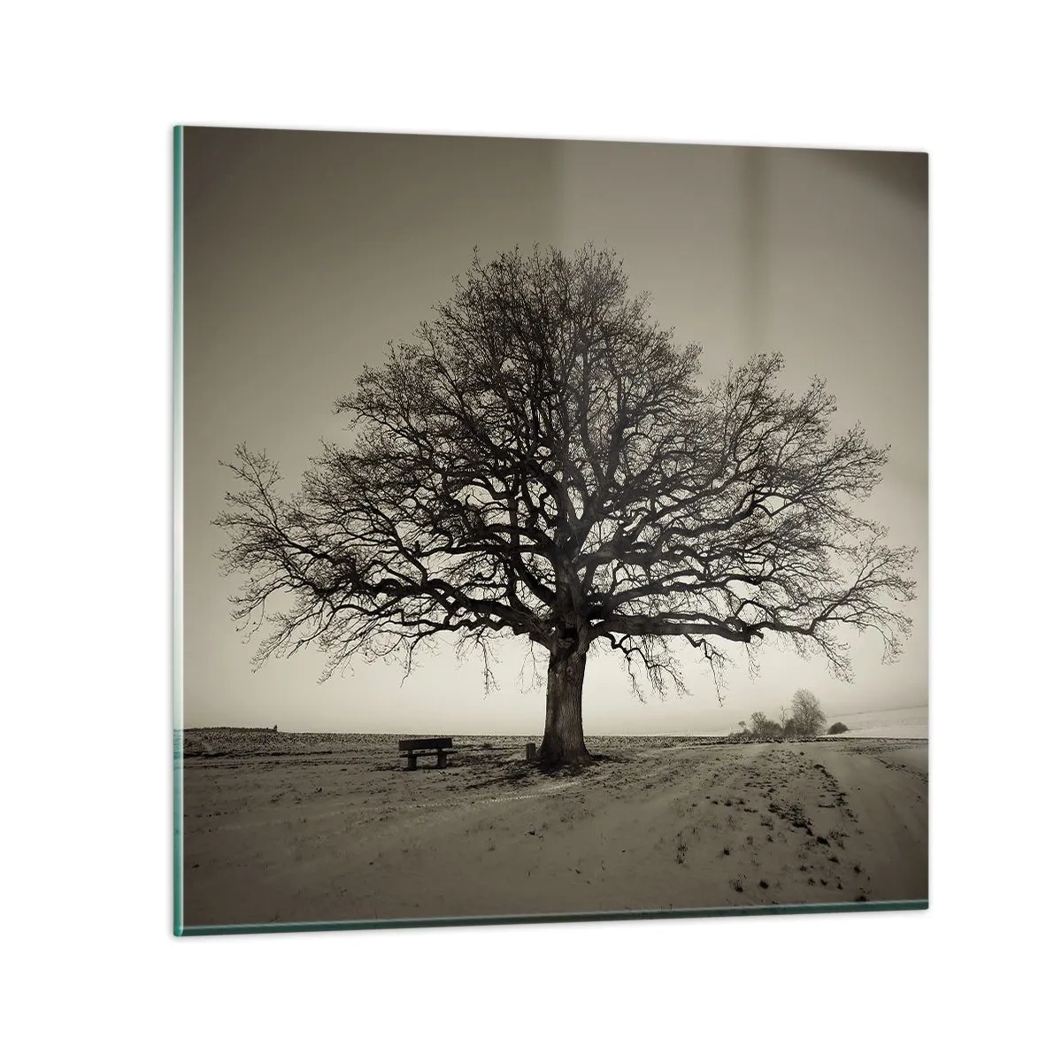 Schilderen op glas - Van hier tot in de eeuwigheid - 70x70 cm