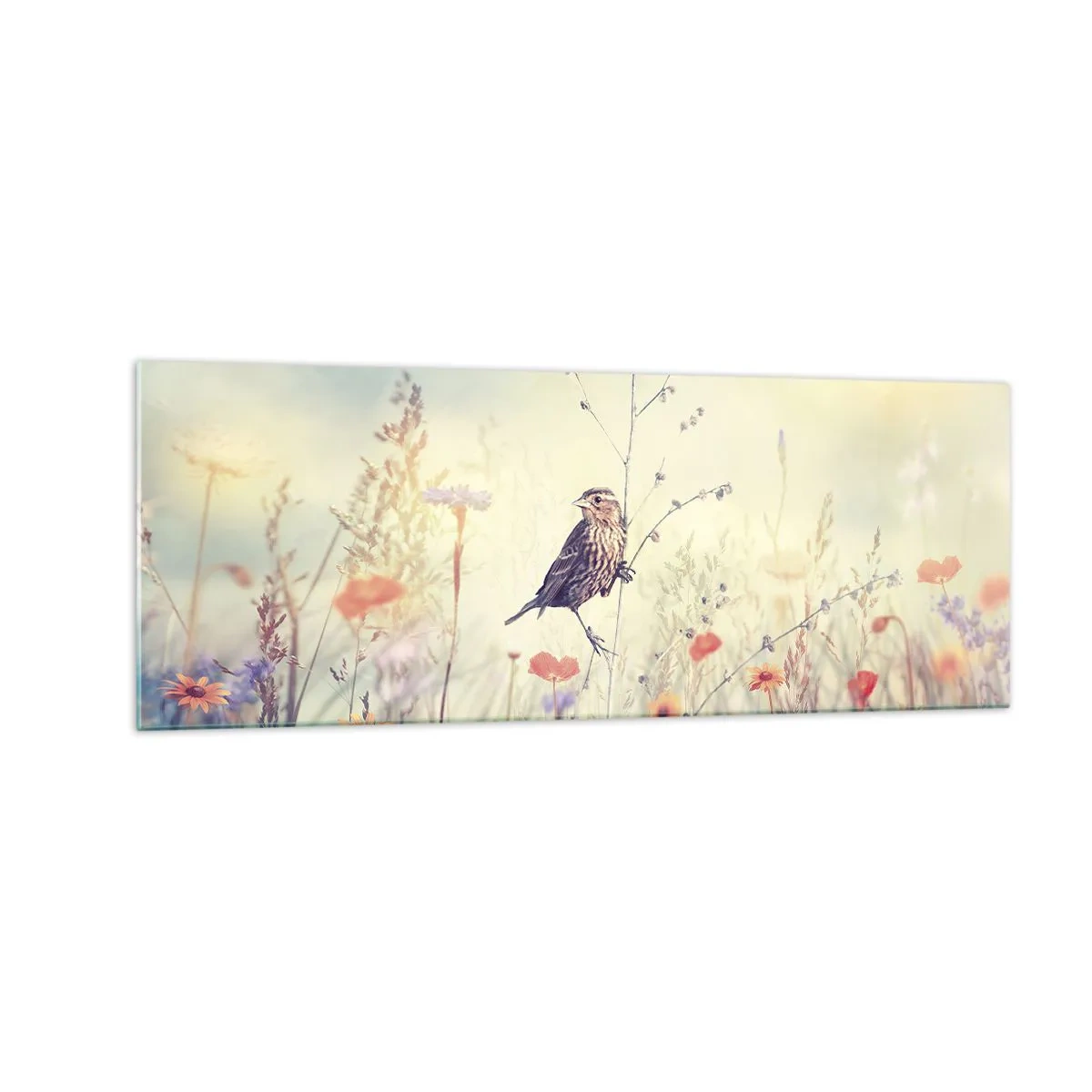Schilderen op glas - Vogelportret met een weiland op de achtergrond - 140x50 cm