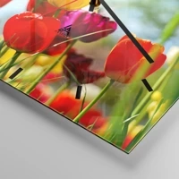 Dash schild