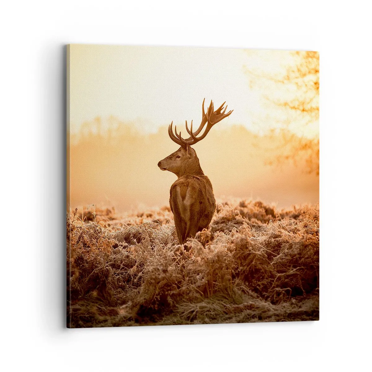 Schilderen op canvas - Heer van het landgoed - 70x70 cm