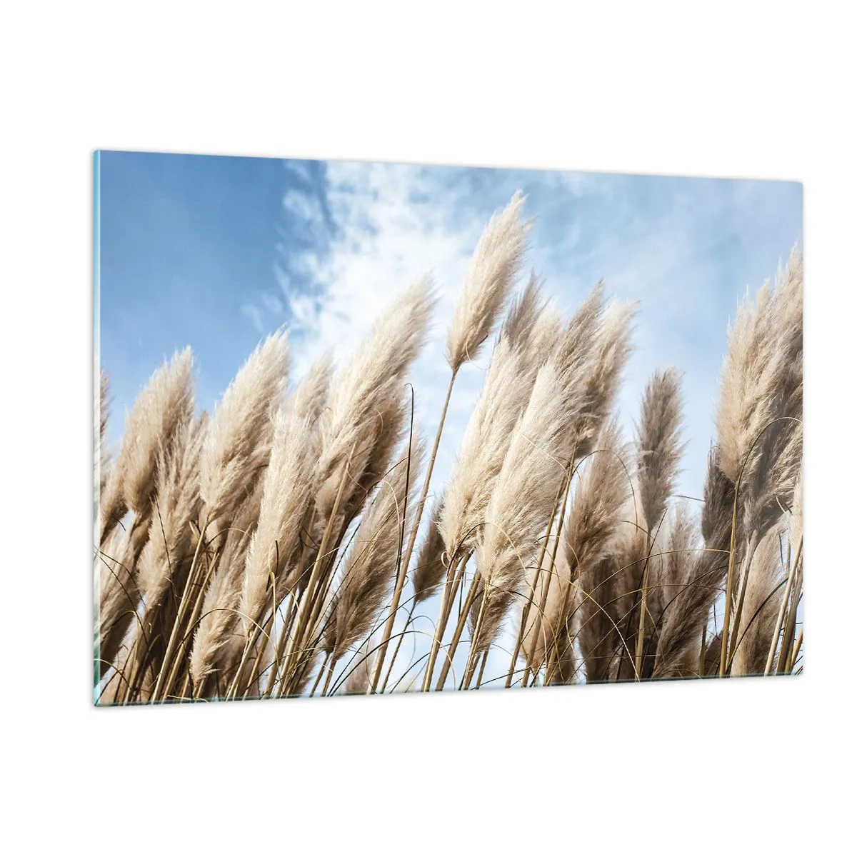 Schilderen op glas - Zonnige en winderige streling - 120x80 cm