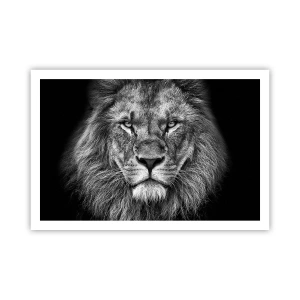 Poster - In een kroningskleed - 91x61 cm