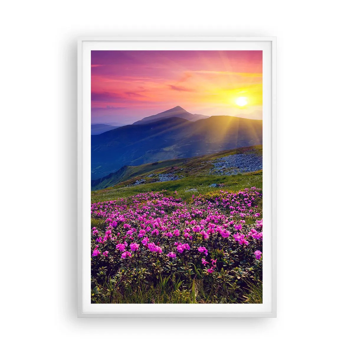 Poster in een witte lijst - … En eromheen ruikt het naar bergdennen en de geur van kruiden - 70x100 cm