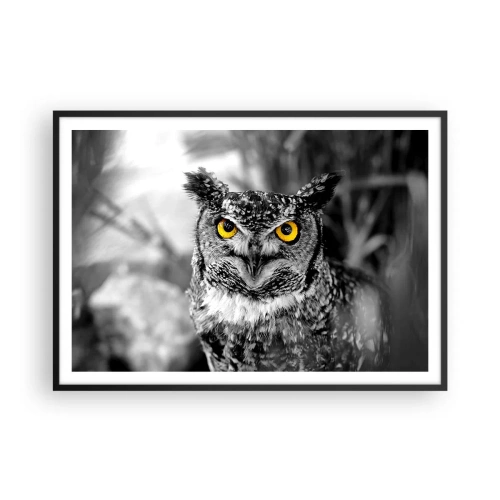 Poster in een zwarte lijst - Niets zal zich verbergen - 100x70 cm