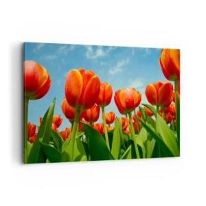 Schilderen op canvas - Afgezien van de blauwe lucht hebben ze niets nodig in hun leven - 100x70 cm