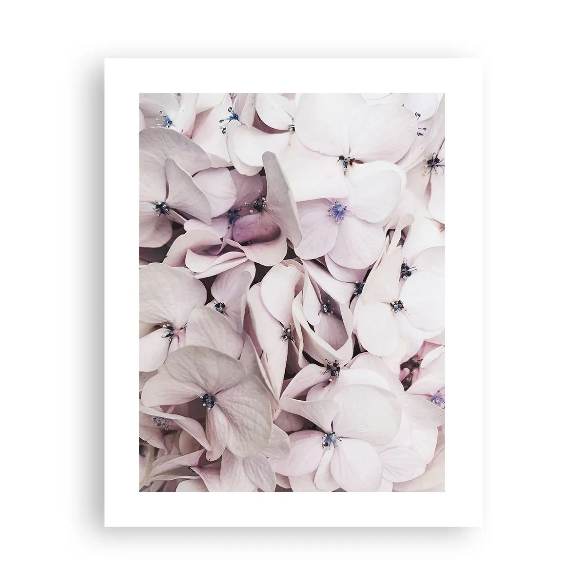 Poster - In een vloed van bloemen - 40x50 cm