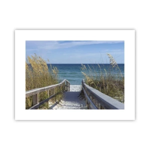 Poster - In de zon, in de wind - 40x30 cm