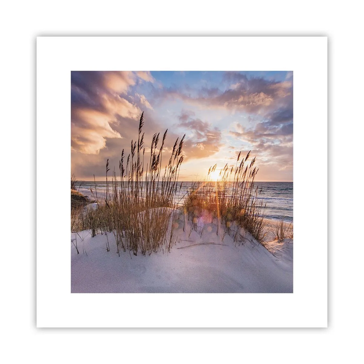 Poster - Afscheid van de zon en de wind - 30x30 cm