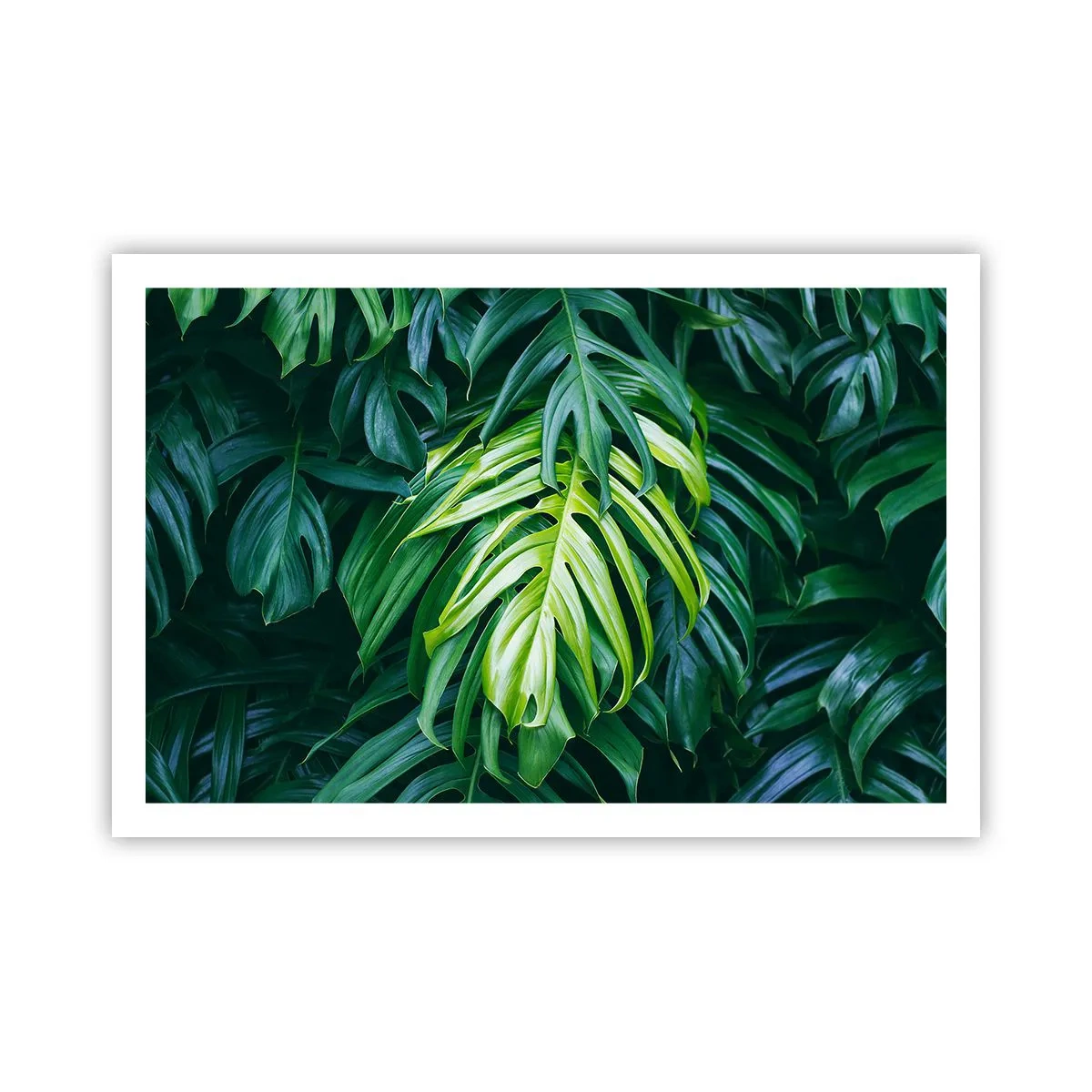 Poster - Dompel jezelf onder in de frisheid - 91x61 cm