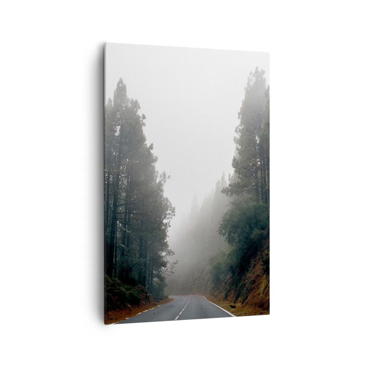 Schilderen op canvas - Een verhaal over een magisch bos - 80x120 cm