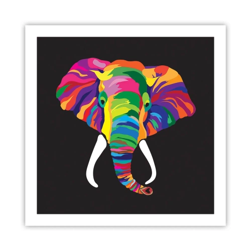 Poster - De olifant die ervan hield om in de regenboog te baden - 60x60 cm