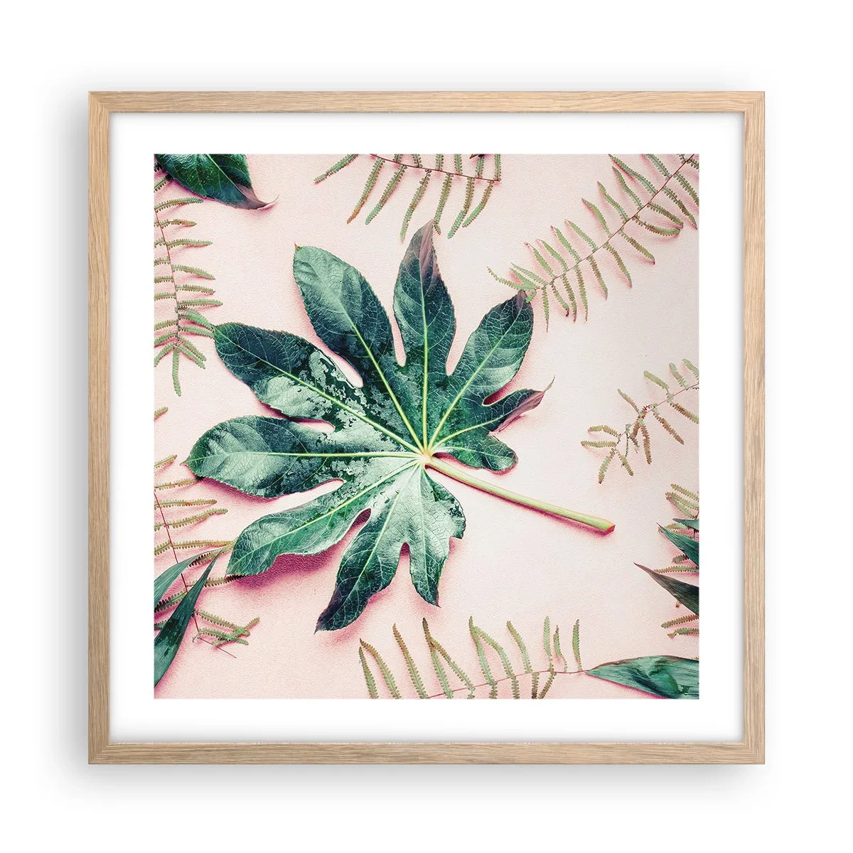 Een poster in een licht eiken lijst - Een studie van groen op een roze achtergrond - 50x50 cm