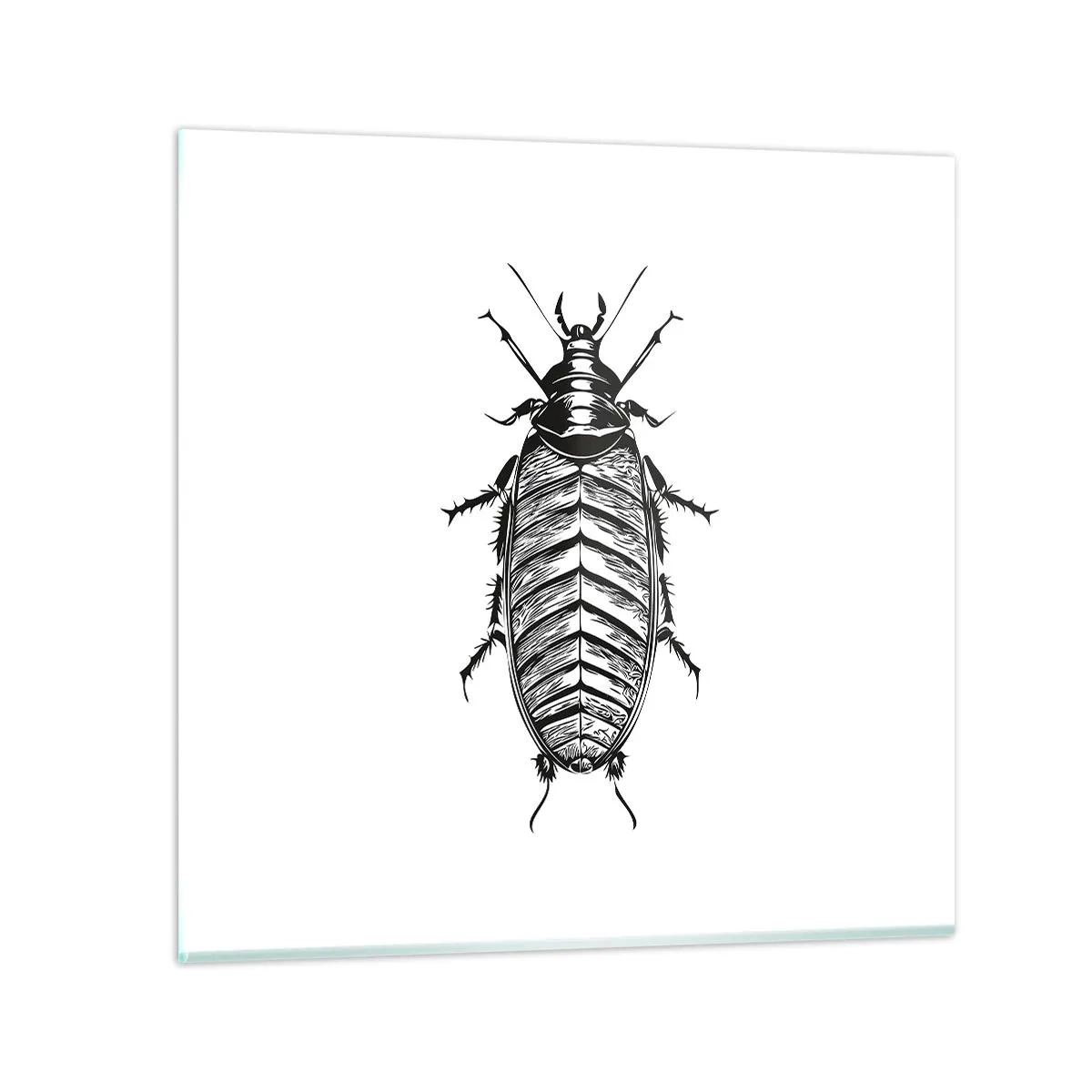 Schilderen op glas - Wat een exemplaar! - 60x60 cm