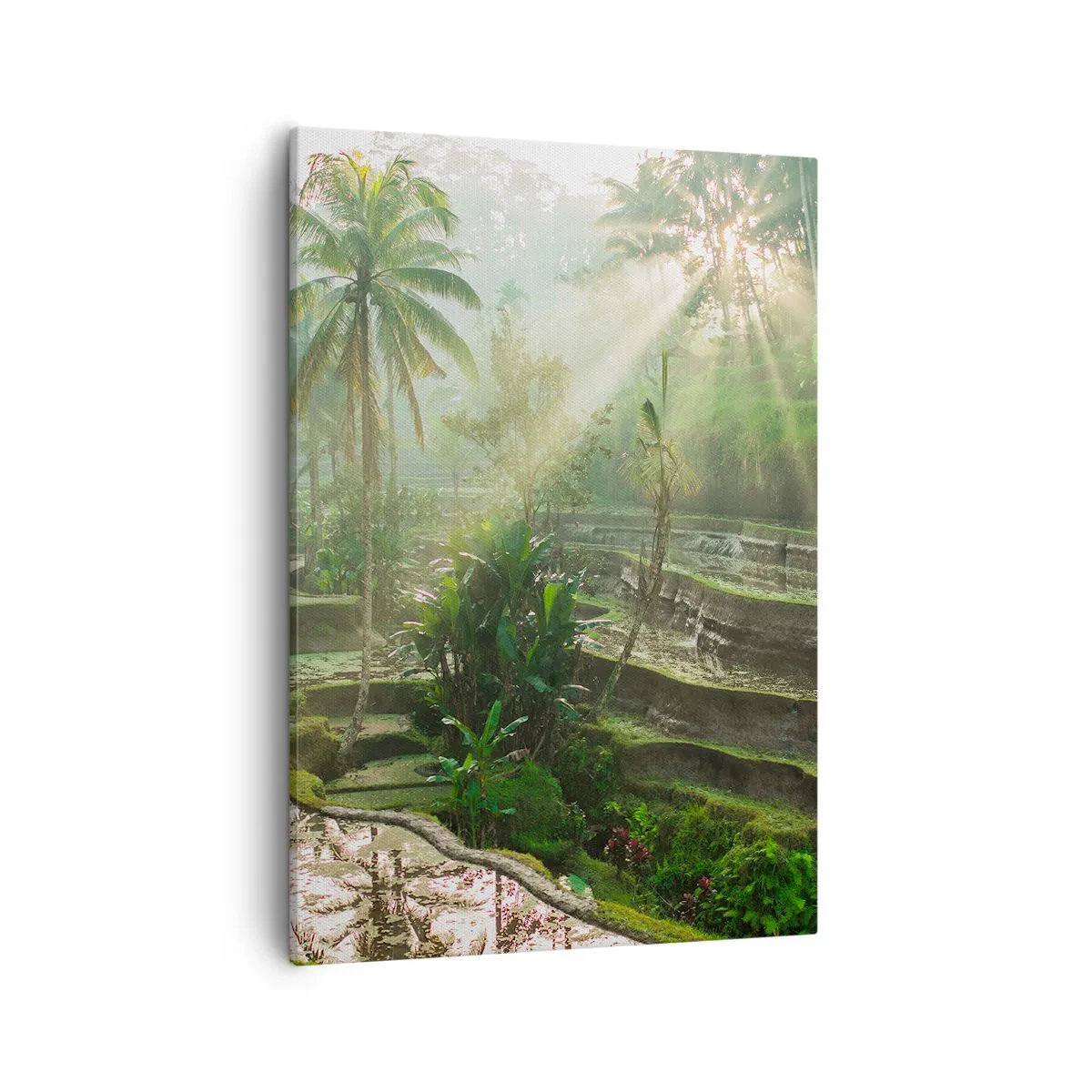 Schilderen op canvas - Opgroeien in de zon - 50x70 cm