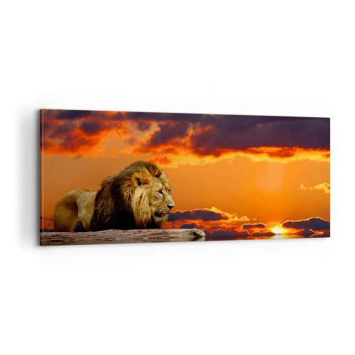 Schilderen op canvas - Koning van de natuur - 100x40 cm