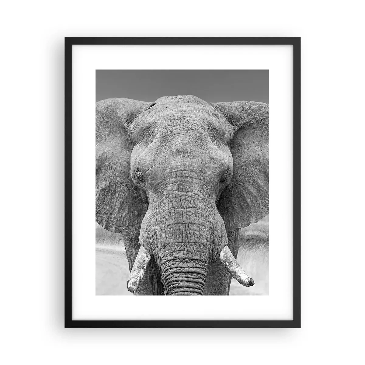 Poster in een zwarte lijst - Welkom in mijn wereld - 40x50 cm