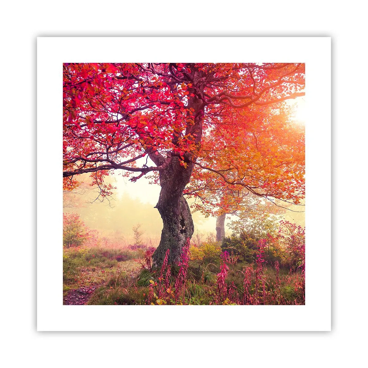 Poster - Bloeiende razernij - 40x40 cm